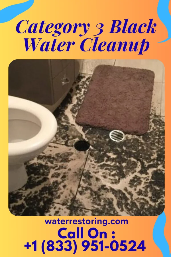 Category 3 Black Water Cleanup in Stanford, MT