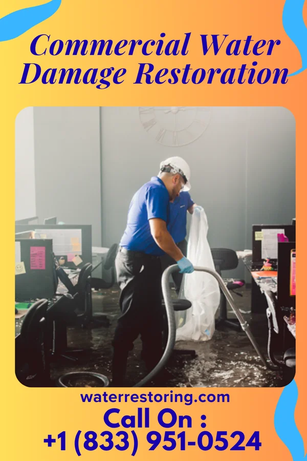 Commercial Water Damage Restoration in Stanford, MT